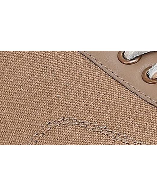 Frye Brown Astor Cap Toe Low Top Sneaker for men