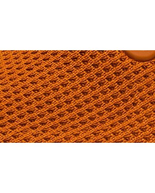 ALLBIRDS Brown Tree Runner Sneaker