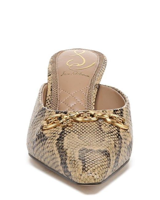 Sam Edelman Multicolor Brynne Pointed Toe Mule
