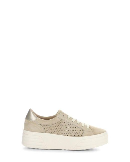 Bos. & Co. White Lotta Platform Sneaker