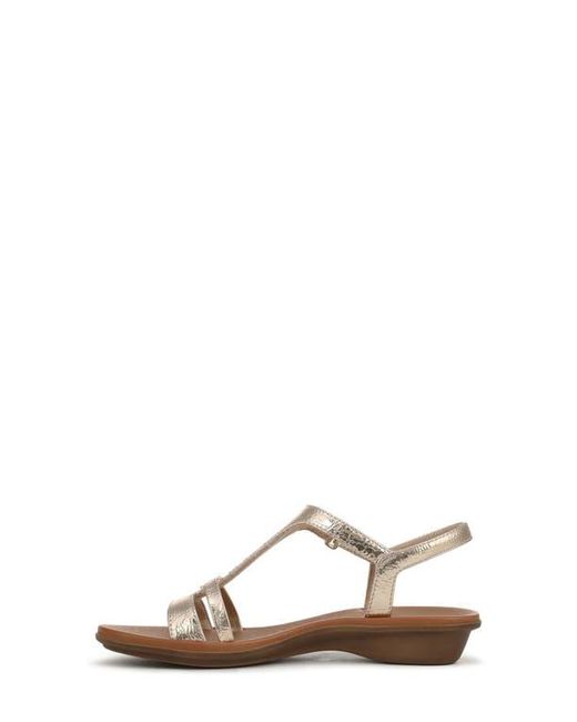 Naturalizer Brown Sofia Sandal