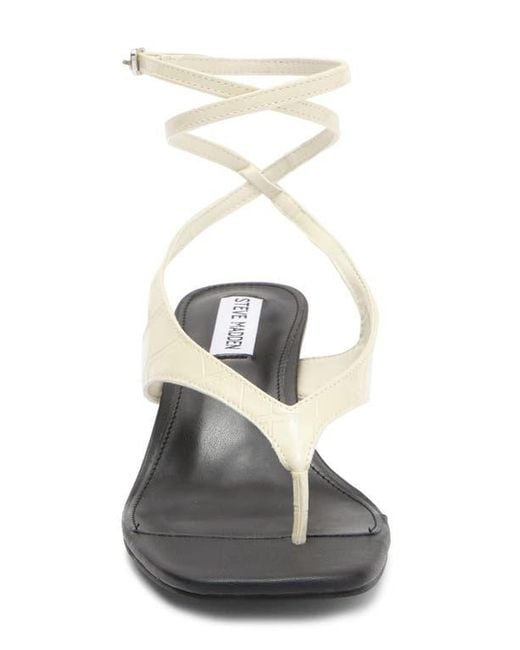 【レディース】Steve Madden Rayger Ankle Strap サンダル Steve Madden Rayger Ankle Strap Heel Sandal (Women
