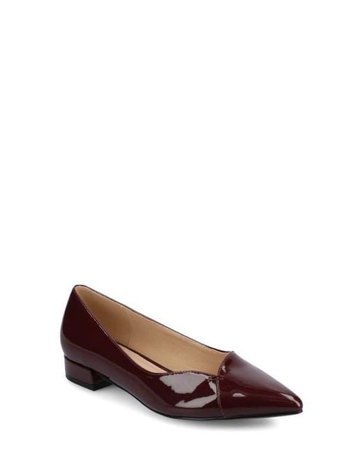 Journee Collection Brown Carmin Pointed Toe Flat