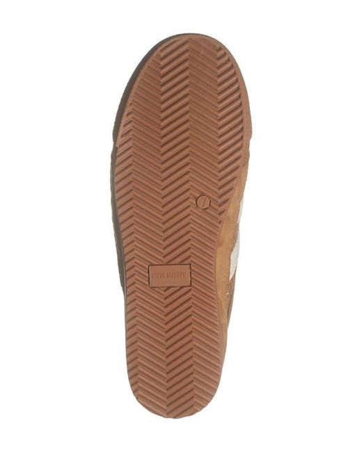 Steve Madden Brown Novva Mule