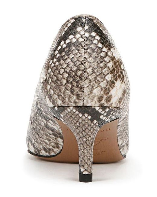 Franco Sarto Brown Snakeskin Embossed Kitten Pumps