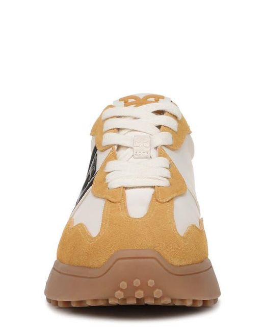 Sam Edelman Multicolor Langley Sneaker