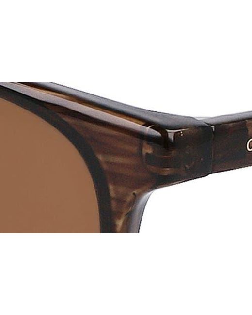 Cole Haan Brown 54Mm Plastic Square Polarized Sunglasses for men