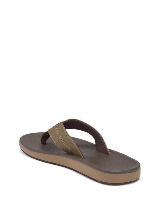 Reef Brown Journeyer Flip Flop Sandal for men
