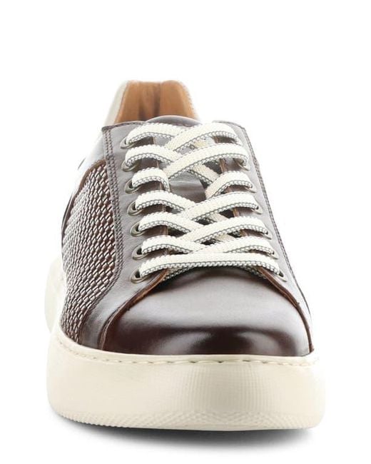 Ambitious Brown 13450 Woven Low Top Sneaker for men
