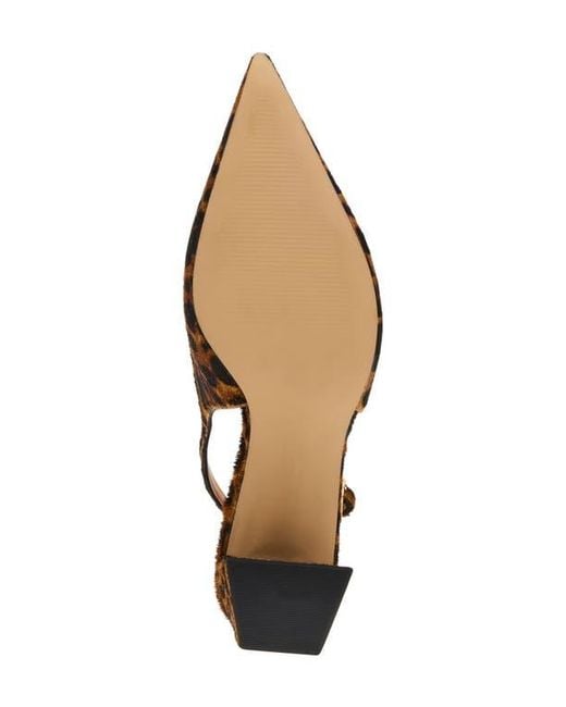 Steve Madden Brown Robyn Pointed Toe Slingback Pump