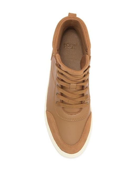 UGG Zilo High Top Sneaker in Brown | Lyst