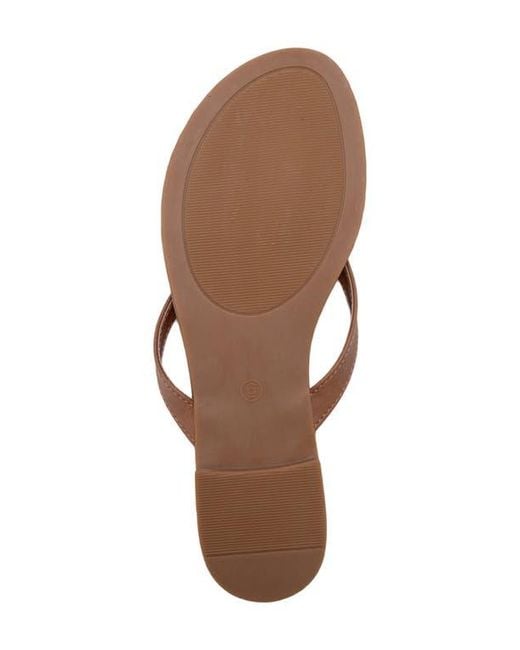 Bebe Brown Charm Thong Sandal