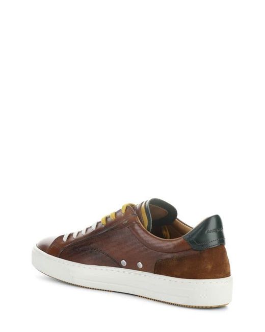Ambitious Brown 11218 Low Top Sneaker for men