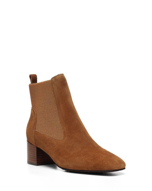 Donald J Pliner Bonnecs Chelsea Boot In Saddle At Nordstrom Rack