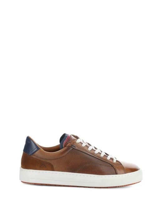 Ambitious Brown 11218 Low Top Sneaker for men