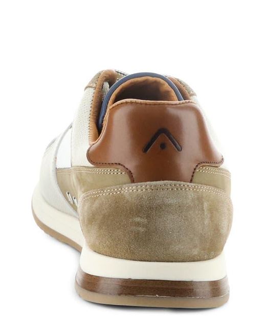 Ambitious White 11240 Perforated Sneaker for men