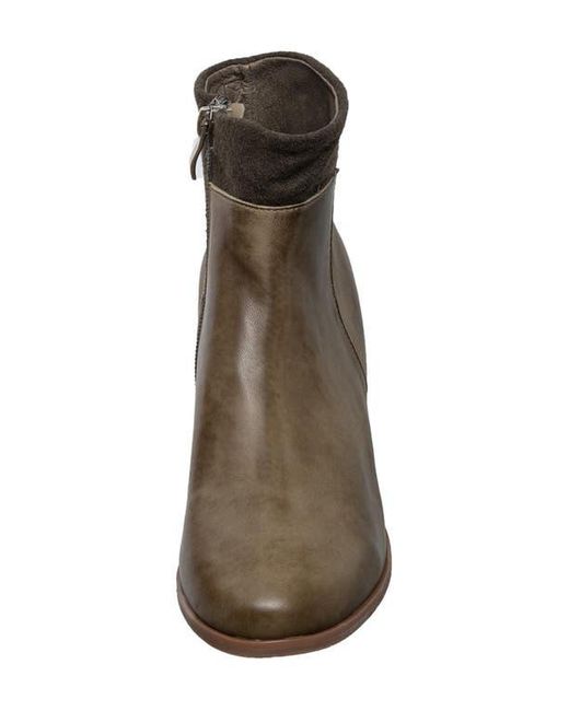 Antelope Brown N33 Platform Pump