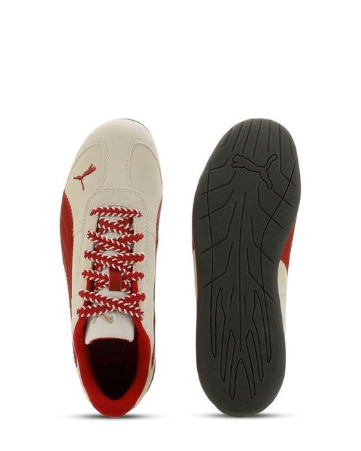 PUMA Multicolor Replicatch Sd Edgework Sneaker
