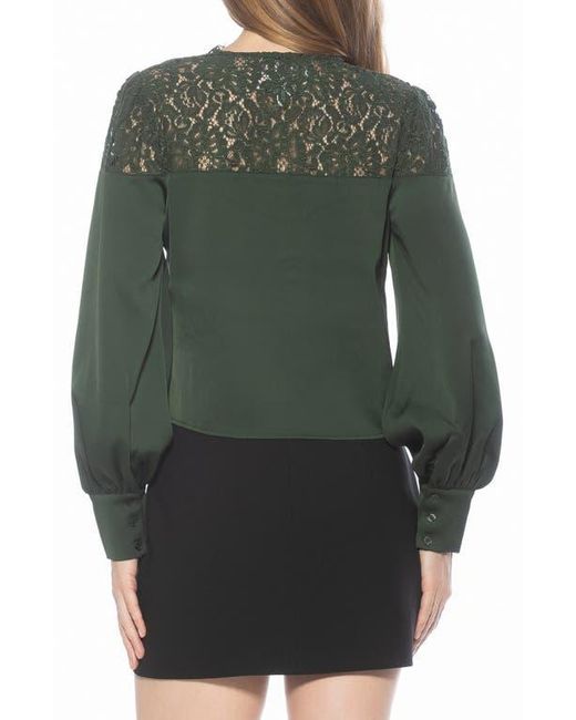 Alexia Admor Green Bryne Lace Trim Top