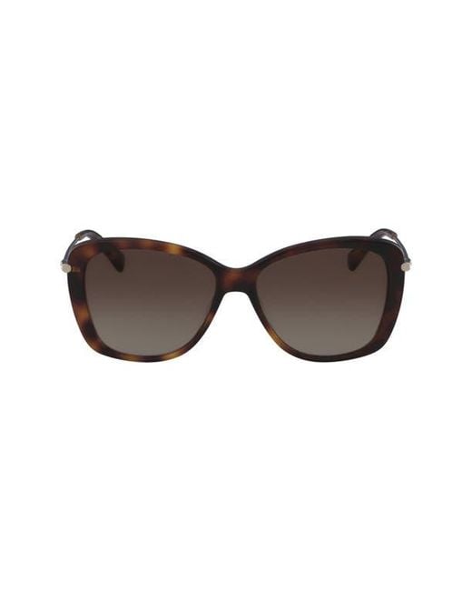 Longchamp Brown Butterfly Gradient Sunglasses