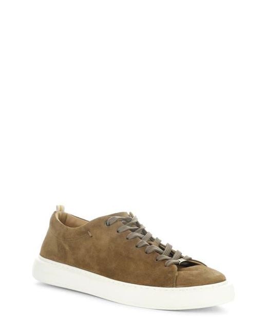 Ambitious Brown 13797 Low Top Sneaker for men