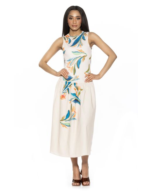 Alexia Admor Multicolor Lyle Drop Waist Midi Dress