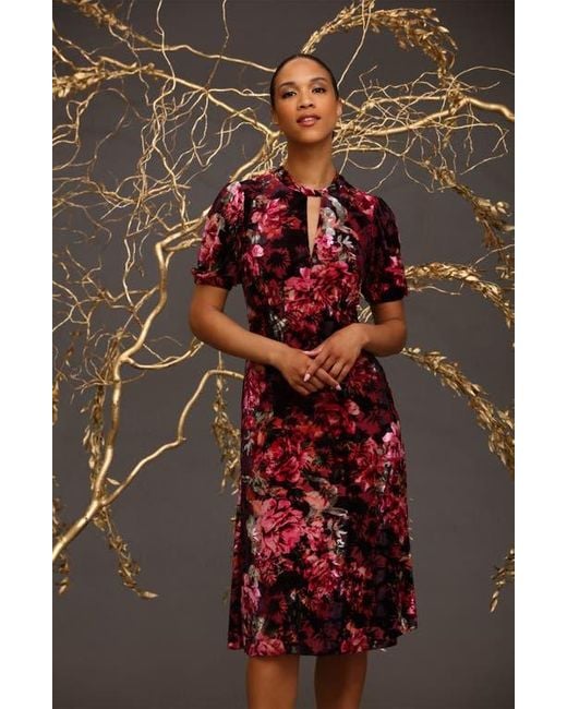 Maggy London Floral Velvet Midi Dress in Red Lyst