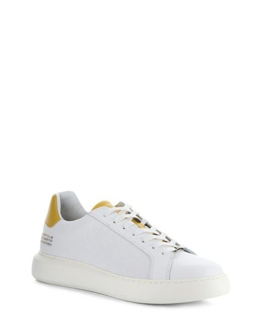 Ambitious White 10634A Low Top Sneaker for men