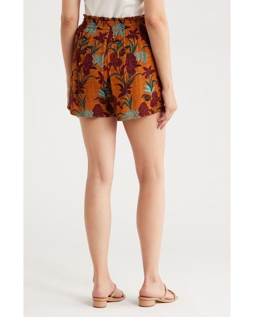 DR2 by Daniel Rainn Brown Paperbag Waist Shorts