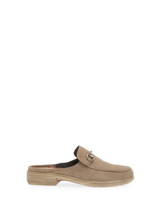Naot Brown Halny Mule