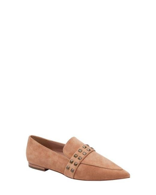 Linea Paolo Brown Mylene Pointed Toe Flat