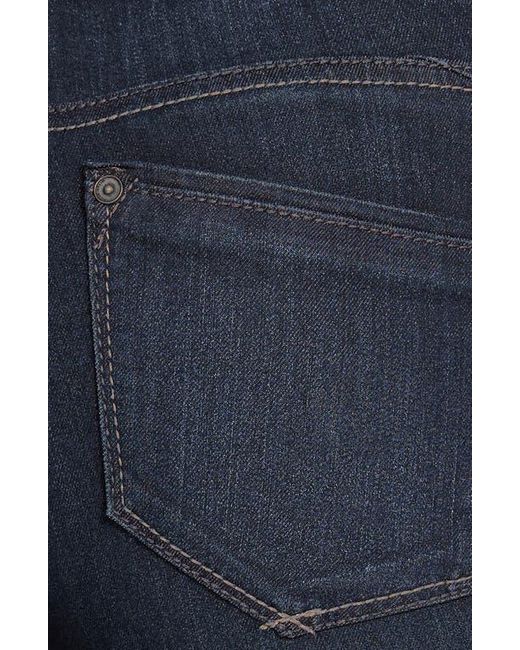 Wit & Wisdom Blue Jeggings