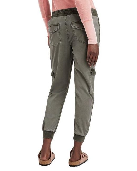 Splendid Gray Jaclyn Drawstring Waist Joggers