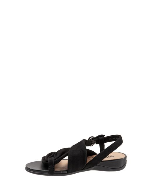Softwalk® Black Tieli Sandal