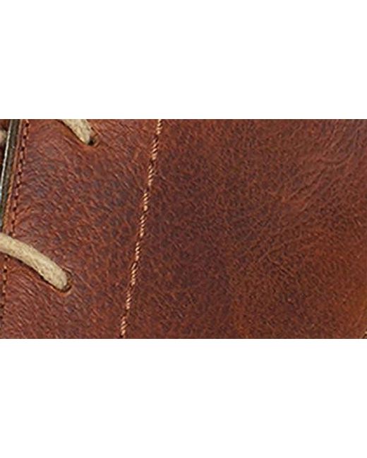 Barbour Brown Readhead Chukka Boot for men