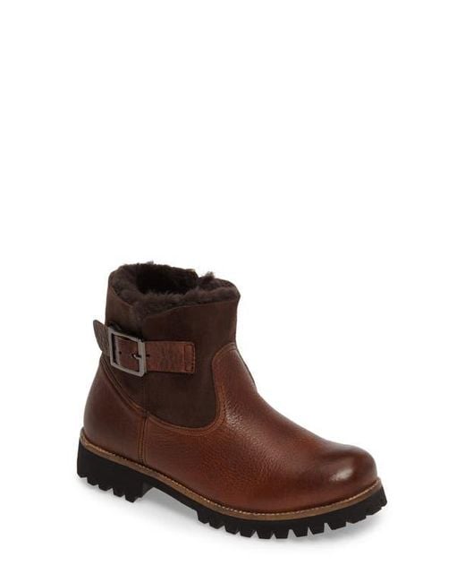 Blackstone Brown Ol06 Genuine Shearling Lined Bootie