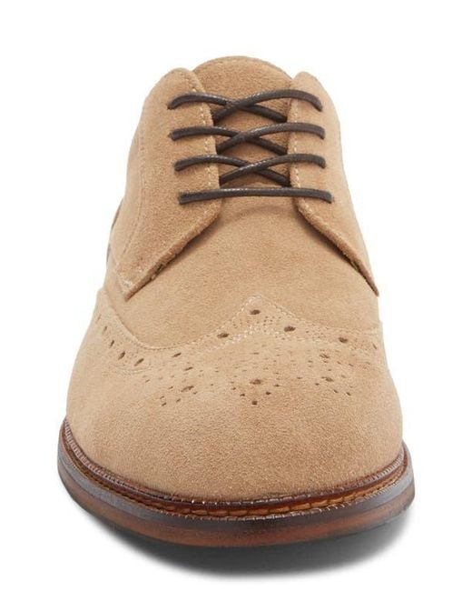 Steve Madden Brown Eferm Wingtip Derby for men
