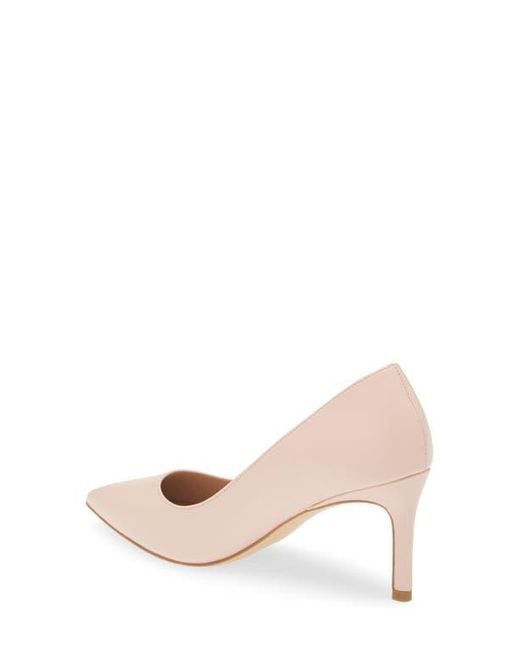 Stuart Weitzman Multicolor Leigh 75 Pointed Toe Pump