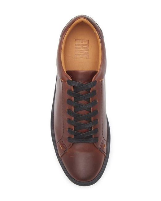 Frye Brown Astor Sneaker for men