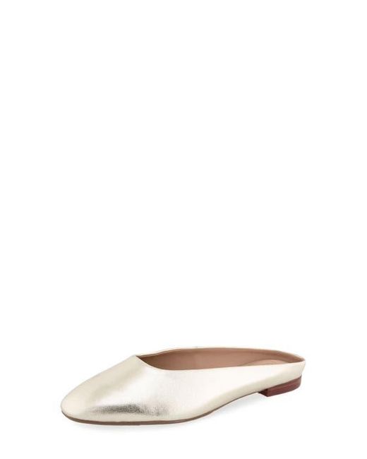 Aerosoles Multicolor Amara Mule