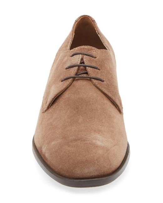 Boss Brown Colby Derby for men