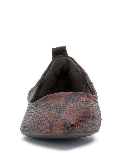Vince Camuto Brown Ashleah Pointed Toe Flat