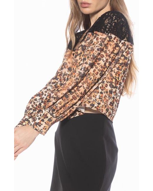 Alexia Admor Black Bryne Lace Trim Top