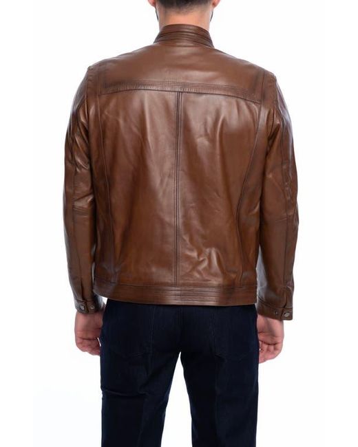 VELLAPAIS Brown Lisbon Leather Jacket for men