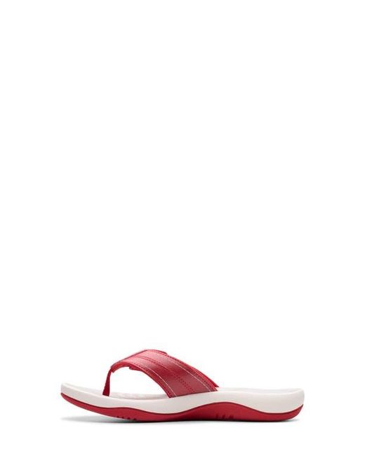 Clarks Pink Clarks Sunmaze Loop Thong Sandal