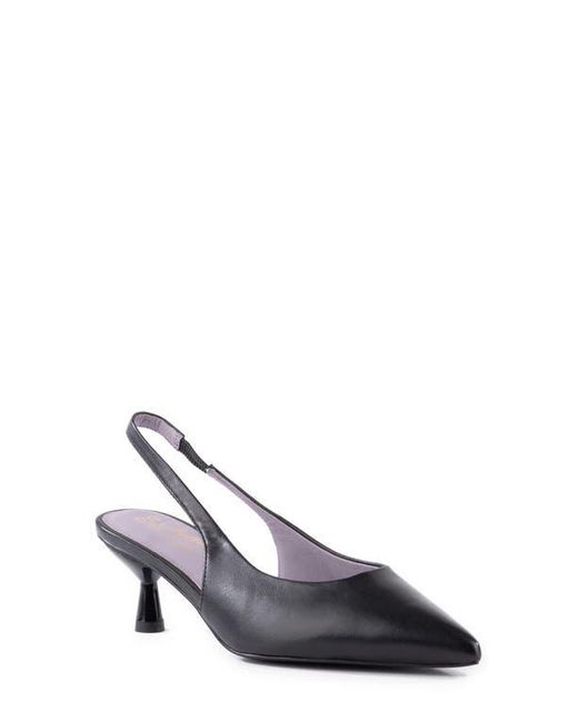 Seychelles Black Brooklyn Kitten Heel Slingback Pump
