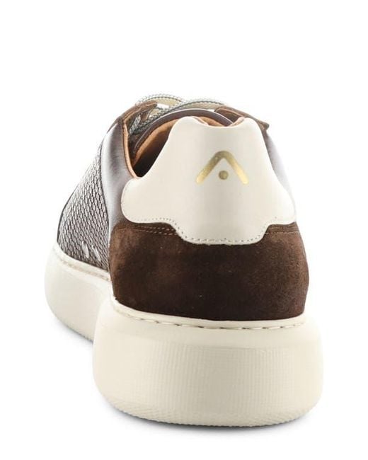 Ambitious Brown 13450 Woven Low Top Sneaker for men