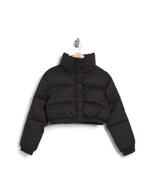 Elodie Crinkle Texture Crop Puffer Jacket In Black At Nordstrom Rack