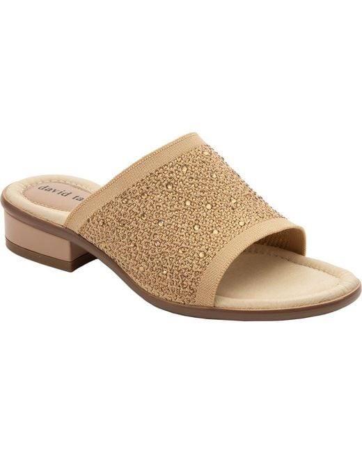 David Tate Multicolor Premium Slide Sandal