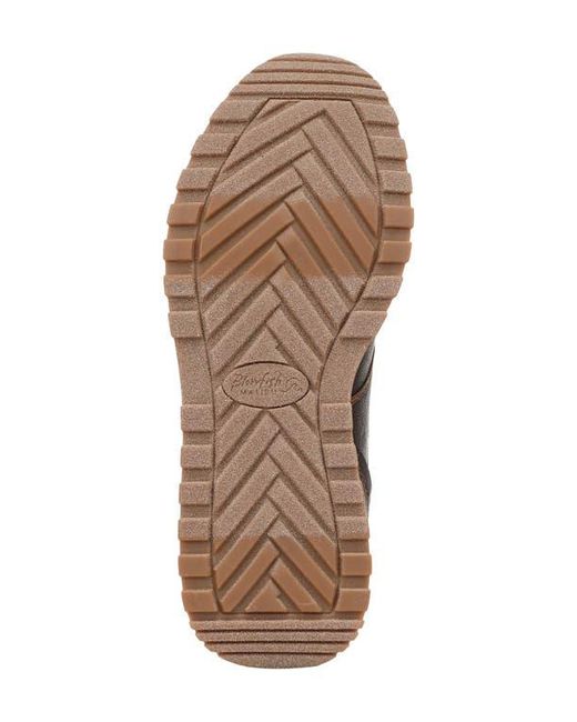 Blowfish Brown Valley Sneaker